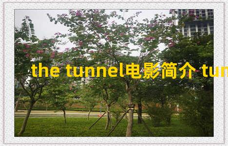 the tunnel电影简介 tunnelen 电影